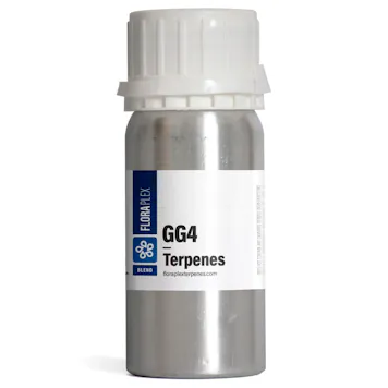 Photo of Original Glue (GG)